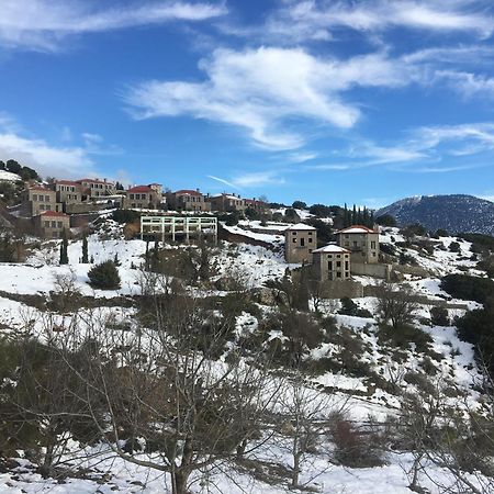 Plethora Arachova Luxury Chalet Exterior photo