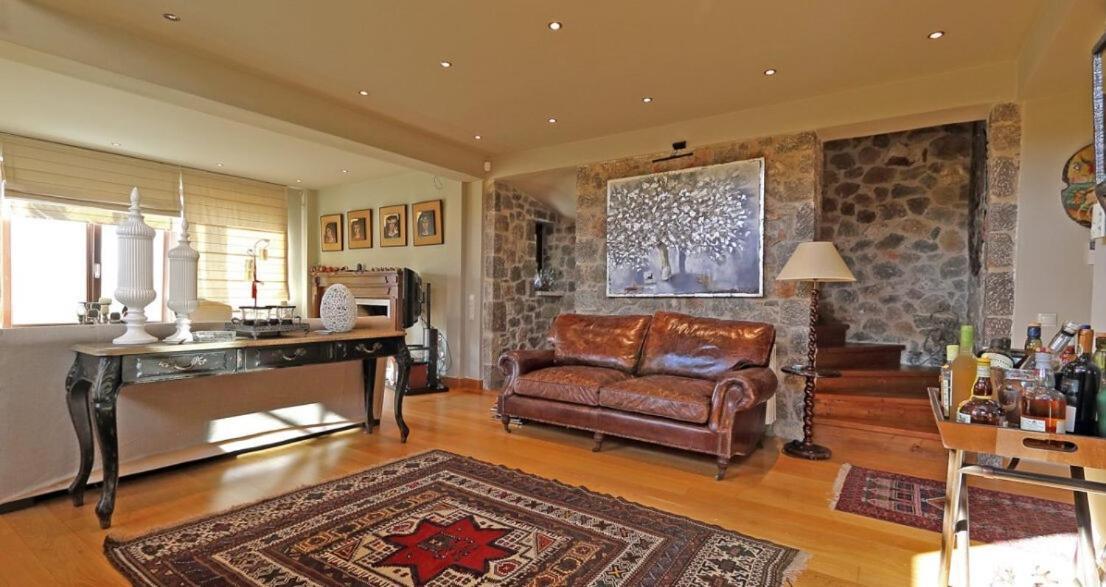 Plethora Arachova Luxury Chalet Exterior photo