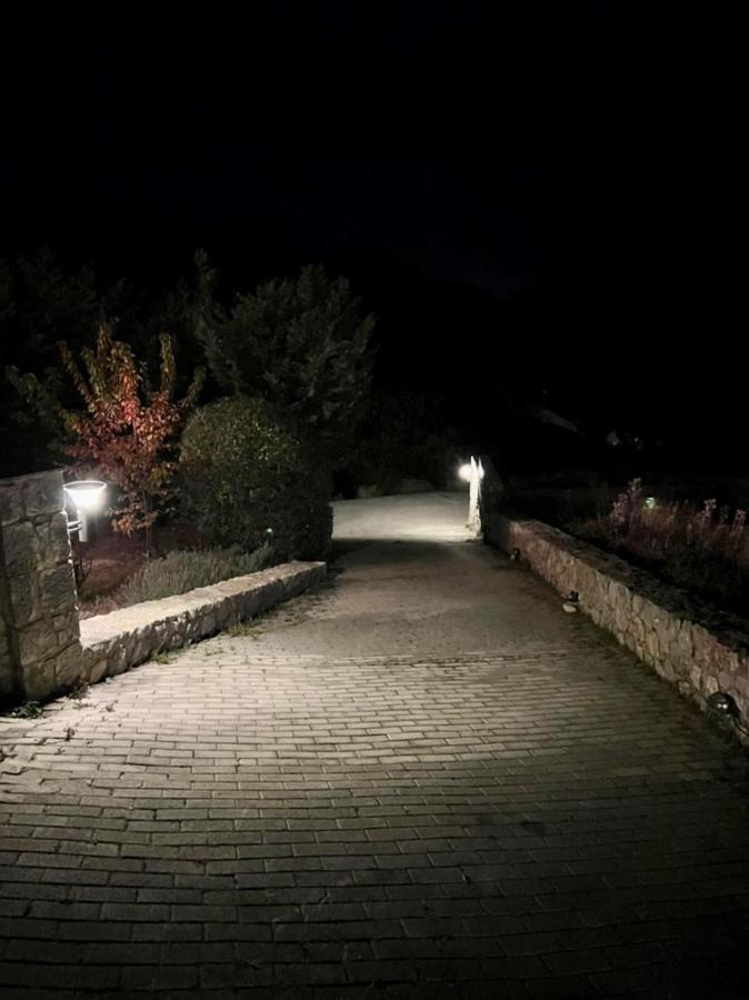 Plethora Arachova Luxury Chalet Exterior photo